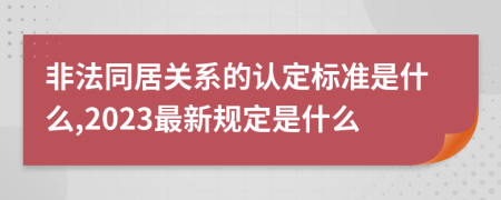 非法同居关系的认定标准是什么,2023最新规定是什么
