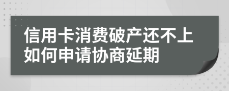 信用卡消费破产还不上如何申请协商延期