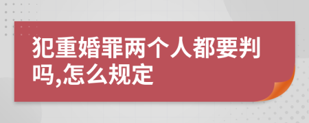 犯重婚罪两个人都要判吗,怎么规定