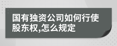 国有独资公司如何行使股东权,怎么规定