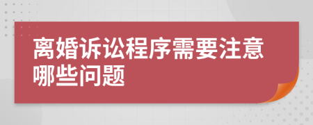 离婚诉讼程序需要注意哪些问题  