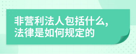 非营利法人包括什么,法律是如何规定的