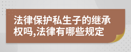 法律保护私生子的继承权吗,法律有哪些规定