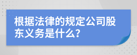 根据法律的规定公司股东义务是什么？