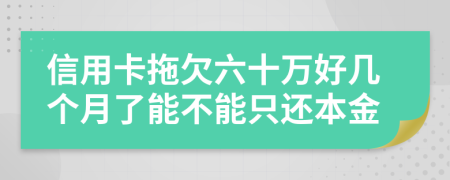 信用卡拖欠六十万好几个月了能不能只还本金
