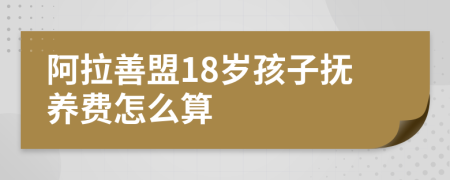 阿拉善盟18岁孩子抚养费怎么算