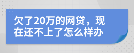 欠了20万的网贷，现在还不上了怎么样办