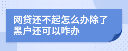 网贷还不起怎么办除了黑户还可以咋办