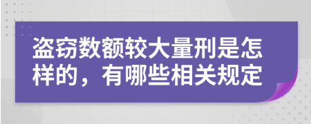 盗窃数额较大量刑是怎样的，有哪些相关规定