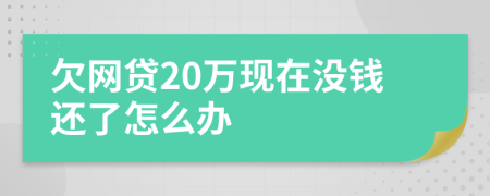 欠网贷20万现在没钱还了怎么办