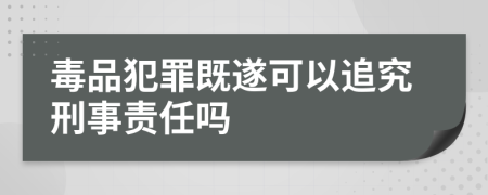 毒品犯罪既遂可以追究刑事责任吗