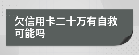 欠信用卡二十万有自救可能吗