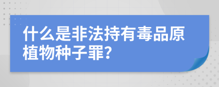 什么是非法持有毒品原植物种子罪？