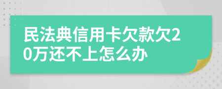 民法典信用卡欠款欠20万还不上怎么办