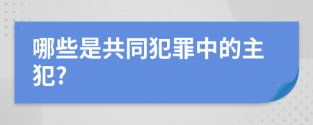 哪些是共同犯罪中的主犯?