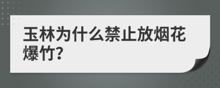 玉林为什么禁止放烟花爆竹？