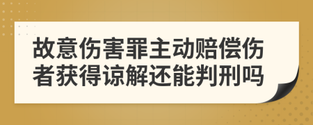 故意伤害罪主动赔偿伤者获得谅解还能判刑吗