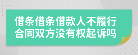 借条借条借款人不履行合同双方没有权起诉吗