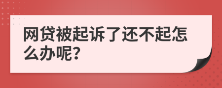 网贷被起诉了还不起怎么办呢？