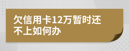 欠信用卡12万暂时还不上如何办