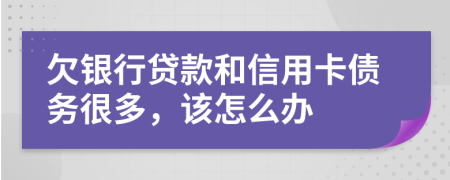 欠银行贷款和信用卡债务很多，该怎么办