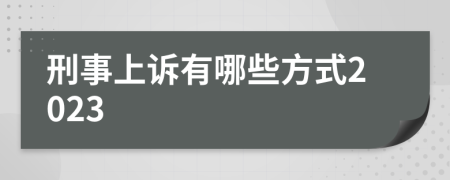 刑事上诉有哪些方式2023