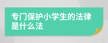 专门保护小学生的法律是什么法