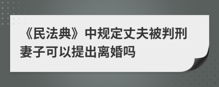 《民法典》中规定丈夫被判刑妻子可以提出离婚吗