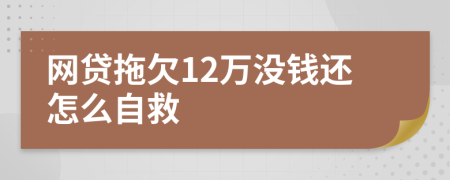 网贷拖欠12万没钱还怎么自救