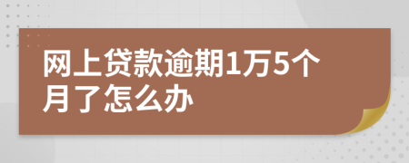网上贷款逾期1万5个月了怎么办