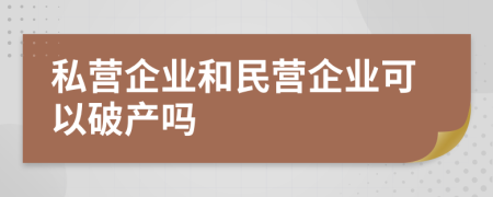 私营企业和民营企业可以破产吗