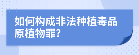 如何构成非法种植毒品原植物罪?