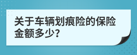 关于车辆划痕险的保险金额多少？