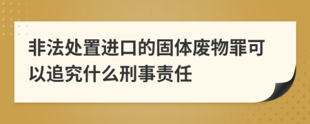 非法处置进口的固体废物罪可以追究什么刑事责任