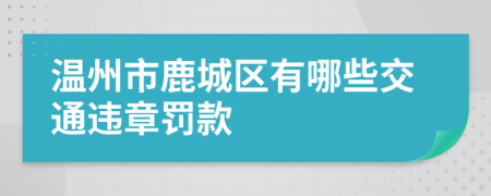 温州市鹿城区有哪些交通违章罚款