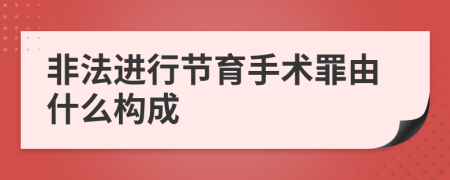 非法进行节育手术罪由什么构成