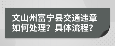 文山州富宁县交通违章如何处理？具体流程？