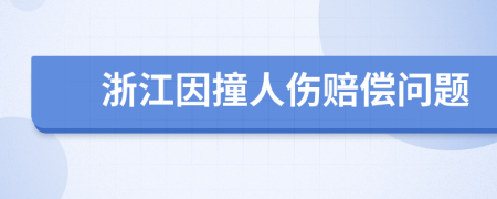 浙江因撞人伤赔偿问题