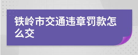 铁岭市交通违章罚款怎么交