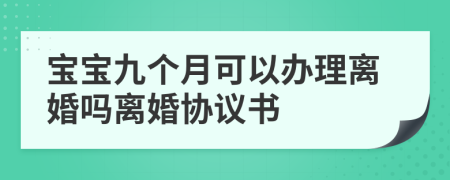 宝宝九个月可以办理离婚吗离婚协议书