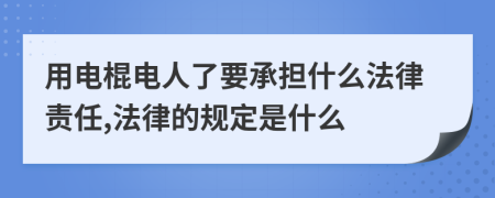 用电棍电人了要承担什么法律责任,法律的规定是什么