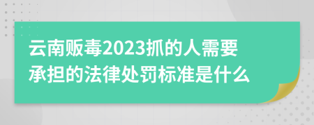 云南贩毒2023抓的人需要承担的法律处罚标准是什么