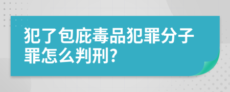 犯了包庇毒品犯罪分子罪怎么判刑?