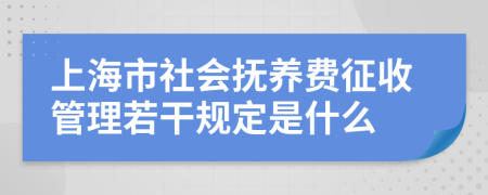 上海市社会抚养费征收管理若干规定是什么