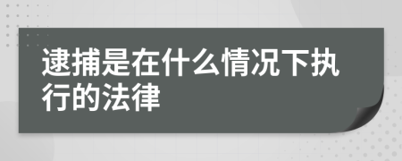 逮捕是在什么情况下执行的法律