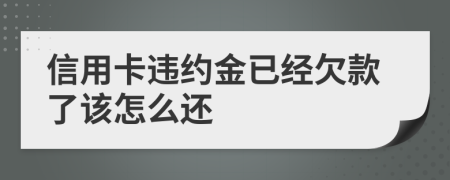 信用卡违约金已经欠款了该怎么还