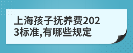 上海孩子抚养费2023标准,有哪些规定