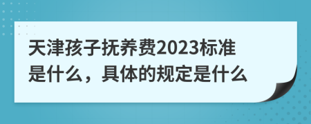 天津孩子抚养费2023标准是什么，具体的规定是什么