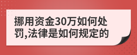 挪用资金30万如何处罚,法律是如何规定的