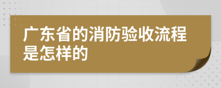 广东省的消防验收流程是怎样的
